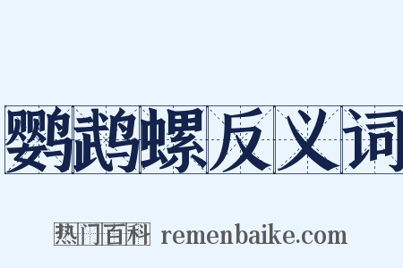 鹦鹉螺反义词是什么意思的图片